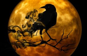 crow, night, gruesome-988218.jpg