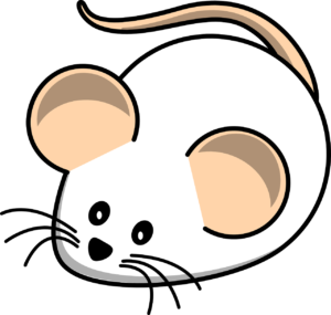 mouse, white mouse, field-312012.jpg